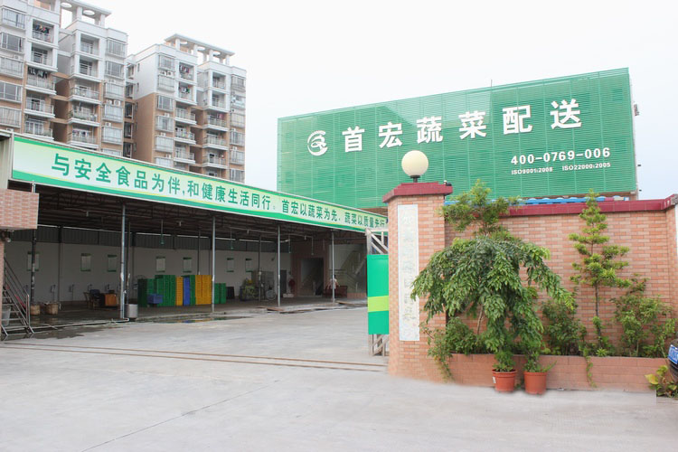 东莞蔬菜配送